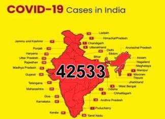 42 हजार के पार पहुंचा देश में कोरोना मरीजों का आंकड़ा, किस राज्य में कितने मरीज, देखें पूरी लिस्ट COVID-19-case-in-india