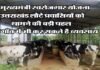उत्तराखंड लौटे प्रवासियों को स्वरोजगार से जोड़ने की दिशा में सरकार ने बढ़ाया बड़ा कदम, गांवों में शुरू कर सकते हैं छोटा मोटा व्यवसाय Chief Minister Self-Employment Scheme