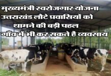 उत्तराखंड लौटे प्रवासियों को स्वरोजगार से जोड़ने की दिशा में सरकार ने बढ़ाया बड़ा कदम, गांवों में शुरू कर सकते हैं छोटा मोटा व्यवसाय Chief Minister Self-Employment Scheme