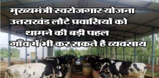 उत्तराखंड लौटे प्रवासियों को स्वरोजगार से जोड़ने की दिशा में सरकार ने बढ़ाया बड़ा कदम, गांवों में शुरू कर सकते हैं छोटा मोटा व्यवसाय Chief Minister Self-Employment Scheme