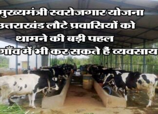 उत्तराखंड लौटे प्रवासियों को स्वरोजगार से जोड़ने की दिशा में सरकार ने बढ़ाया बड़ा कदम, गांवों में शुरू कर सकते हैं छोटा मोटा व्यवसाय Chief Minister Self-Employment Scheme