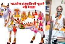 भारतीय संस्कृति की मूल है गौ माता, जानिए विशेषतायें भारतीय संस्कृति की मूल है गौ माता, जाने विशेषतायें