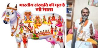 भारतीय संस्कृति की मूल है गौ माता, जानिए विशेषतायें भारतीय संस्कृति की मूल है गौ माता, जाने विशेषतायें