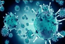 पौड़ी गढ़वाल: एक ही गांव के 39 लोग निकले कोरोना पॉजिटिव corona-bomb in noida