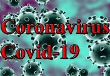 उत्तराखंड में आज मिले 632 नए कोरोना संक्रमित, डीजी हेल्थ भी आई कोरोना की चपेट में, 12 मरीजों की हुई मौत, देखें जिलेवार आंकड़े coronavirus covid-19