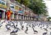 लॉकडाउन जरुरी, लेकिन व्यवसायों व उद्योगों को अधिक समय तक नहीं किया जा सकता नजरअंदाज, जानिए विशेषज्ञों की राय corona-lockdown