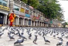 लॉकडाउन जरुरी, लेकिन व्यवसायों व उद्योगों को अधिक समय तक नहीं किया जा सकता नजरअंदाज, जानिए विशेषज्ञों की राय corona-lockdown