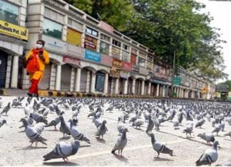 लॉकडाउन जरुरी, लेकिन व्यवसायों व उद्योगों को अधिक समय तक नहीं किया जा सकता नजरअंदाज, जानिए विशेषज्ञों की राय corona-lockdown