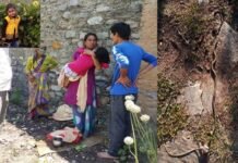 उत्तराखंड : क्वारंटाइन सेंटर में सांप के डसने से 5 वर्षीय बच्ची की मौत पर 4 के खिलाफ मुकदमा दर्ज girl dies due to snake bite at Quarantine Center