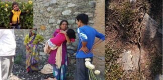 उत्तराखंड : क्वारंटाइन सेंटर में सांप के डसने से 5 वर्षीय बच्ची की मौत पर 4 के खिलाफ मुकदमा दर्ज girl dies due to snake bite at Quarantine Center