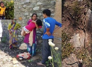 उत्तराखंड : क्वारंटाइन सेंटर में सांप के डसने से 5 वर्षीय बच्ची की मौत पर 4 के खिलाफ मुकदमा दर्ज girl dies due to snake bite at Quarantine Center