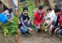 विश्व पर्यावरण दिवस पर कोरोना वॉरियर्स के नाम से लगाए पौधे Corona Warriors on World Environment Day