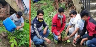 विश्व पर्यावरण दिवस पर कोरोना वॉरियर्स के नाम से लगाए पौधे Corona Warriors on World Environment Day