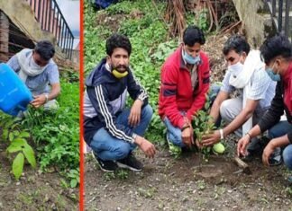 विश्व पर्यावरण दिवस पर कोरोना वॉरियर्स के नाम से लगाए पौधे Corona Warriors on World Environment Day