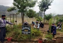 विश्व पर्यावरण दिवस पर जीआईसी उज्याड़ी में वृक्षारोपण कार्यक्रम GIC Ujyadi on World Environment Day