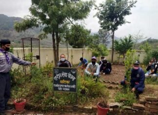 विश्व पर्यावरण दिवस पर जीआईसी उज्याड़ी में वृक्षारोपण कार्यक्रम GIC Ujyadi on World Environment Day
