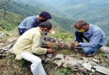 विश्व पर्यावरण दिवस पर जीआईसी पुरियाडांग में वृक्षारोपण कार्यक्रम Plantation Program at GIC Puriadang