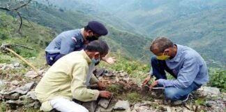 विश्व पर्यावरण दिवस पर जीआईसी पुरियाडांग में वृक्षारोपण कार्यक्रम Plantation Program at GIC Puriadang