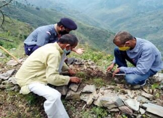 विश्व पर्यावरण दिवस पर जीआईसी पुरियाडांग में वृक्षारोपण कार्यक्रम Plantation Program at GIC Puriadang