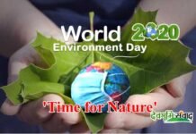 विश्व पर्यावरण दिवस 2020 : जानिए इस बार की थीम क्या है और कोरोना संकट में कैसे मनाया जा रहा है World Environment Day World Environment Day 2020