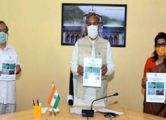 कोविड-19 के दृष्टिगत प्रदेशवासियों को रोजगार के अवसर प्रदान करना हमारी शीर्ष प्राथमिकता :मुख्यमत्री employment opportunities to the people
