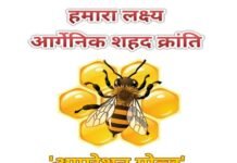 उत्तराखंड में ‘ऑपरेशन गोल्ड’ के तहत साकार की जाएगी शहद उत्पादन की वृहद योजना organic-honey-operation-gold