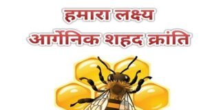 उत्तराखंड में ‘ऑपरेशन गोल्ड’ के तहत साकार की जाएगी शहद उत्पादन की वृहद योजना organic-honey-operation-gold