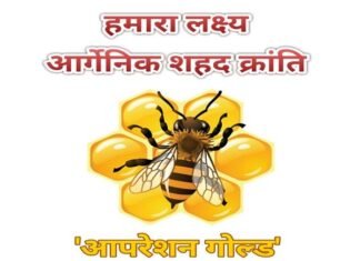 उत्तराखंड में ‘ऑपरेशन गोल्ड’ के तहत साकार की जाएगी शहद उत्पादन की वृहद योजना organic-honey-operation-gold