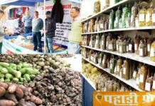 पहाड़ी फ्रेश सहित कई पहाड़ी उद्योगों पर पड़ी लॉकडाउन की मार, स्टाल व कार्यक्रमों के द्वारा बेचते थे समान, सरकार व समाज से लगाई मद्दत की गुहार pahadi-fresh