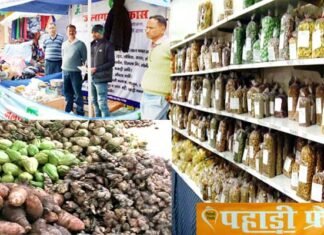 पहाड़ी फ्रेश सहित कई पहाड़ी उद्योगों पर पड़ी लॉकडाउन की मार, स्टाल व कार्यक्रमों के द्वारा बेचते थे समान, सरकार व समाज से लगाई मद्दत की गुहार pahadi-fresh