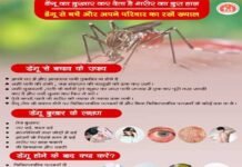 उत्तराखंड : डेंगू की रोकथाम के लिए सचिव नेगी ने जिलाधिकारियों को दिए निर्देश prevention of Dengue