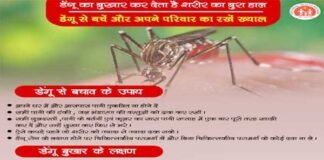 उत्तराखंड : डेंगू की रोकथाम के लिए सचिव नेगी ने जिलाधिकारियों को दिए निर्देश prevention of Dengue