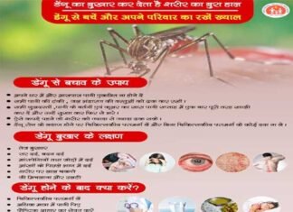 उत्तराखंड : डेंगू की रोकथाम के लिए सचिव नेगी ने जिलाधिकारियों को दिए निर्देश prevention of Dengue