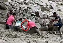 उत्तराखंड: उफनते नाले में मलबे के साथ बहे विधायक धामी, साथ में चल रहे कार्यकर्ताओं ने बचाया, आपदा पीड़ितों से मिलकर लौट रहे थे MLA Dhami washed with debris