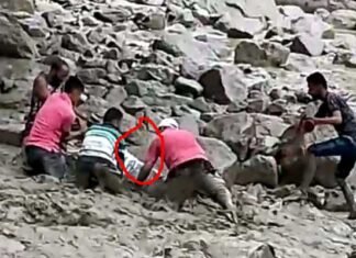 उत्तराखंड: उफनते नाले में मलबे के साथ बहे विधायक धामी, साथ में चल रहे कार्यकर्ताओं ने बचाया, आपदा पीड़ितों से मिलकर लौट रहे थे MLA Dhami washed with debris