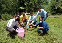 एनएसएस के अंतर्गत राजकीय महाविद्यालय पौखाल में हरेला कार्यक्रम पर पौधरोपण Plantation on Harela Program