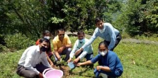 एनएसएस के अंतर्गत राजकीय महाविद्यालय पौखाल में हरेला कार्यक्रम पर पौधरोपण Plantation on Harela Program