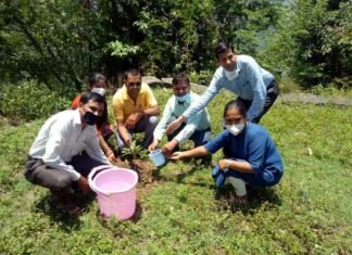 एनएसएस के अंतर्गत राजकीय महाविद्यालय पौखाल में हरेला कार्यक्रम पर पौधरोपण Plantation on Harela Program