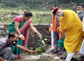 सतपुली में पर्यटन मंत्री सतपाल महाराज ने हरेला पर्व पर किया वृक्षारोपण। Tourism Minister Satpal Maharaj planted saplings on the Harela festival in Satpuli.