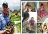 बीज बम अभियान : बच्चों द्वारा खेल-खेल में पर्यावरण संरक्षण की पहल Seed Bomb Campaign