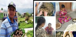 बीज बम अभियान : बच्चों द्वारा खेल-खेल में पर्यावरण संरक्षण की पहल Seed Bomb Campaign