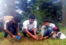 कारगिल विजय दिवस पर युवा कांग्रेस पौड़ी ने कारगिल शहीदों की याद में लगाया पौधा Youth Congress Pauri planted a plant in memory of Kargil martyrs