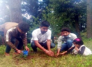 कारगिल विजय दिवस पर युवा कांग्रेस पौड़ी ने कारगिल शहीदों की याद में लगाया पौधा Youth Congress Pauri planted a plant in memory of Kargil martyrs