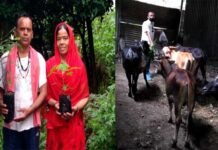 लावारिस प्राणियों व पर्यावरण का संरक्षण कर मानवता का धर्म निभा रहे हैं पर्यावरण प्रेमी व गौ सेवक आनंद सिंह पंवार anand-singh-panwar