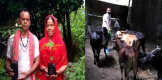 लावारिस प्राणियों व पर्यावरण का संरक्षण कर मानवता का धर्म निभा रहे हैं पर्यावरण प्रेमी व गौ सेवक आनंद सिंह पंवार anand-singh-panwar