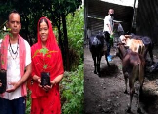 लावारिस प्राणियों व पर्यावरण का संरक्षण कर मानवता का धर्म निभा रहे हैं पर्यावरण प्रेमी व गौ सेवक आनंद सिंह पंवार anand-singh-panwar