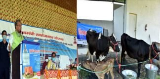 डेरी विकास में मुख्यमंत्री स्वरोजगार योजना का शुभारम्भ, लाभार्थियों को दिए गए दुधारू पशु cm-trivendra-inaugurate-dairy