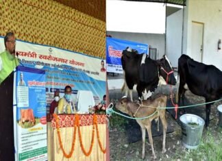 डेरी विकास में मुख्यमंत्री स्वरोजगार योजना का शुभारम्भ, लाभार्थियों को दिए गए दुधारू पशु cm-trivendra-inaugurate-dairy