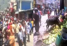 उत्तराखंड : जोशीमठ में बच्ची से छेड़छाड़ की घटना से गुस्साए लोगों ने दुकानों में की तोड़फोड़ Minor gir molested in Joshimath Angry people vandalized shops