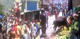 उत्तराखंड : जोशीमठ में बच्ची से छेड़छाड़ की घटना से गुस्साए लोगों ने दुकानों में की तोड़फोड़ Minor gir molested in Joshimath Angry people vandalized shops
